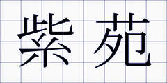 紫苑