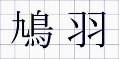 鳩羽