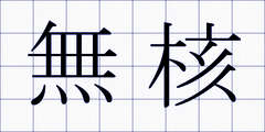 無核