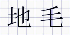 地毛