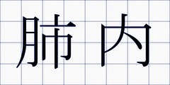 肺内
