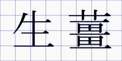 生薑