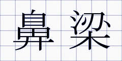 鼻梁