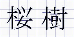 桜樹