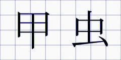 甲虫