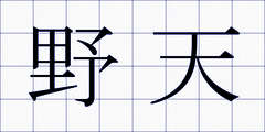 野天