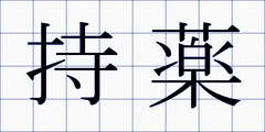 持薬