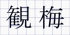 観梅
