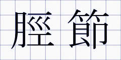 脛節