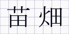 苗畑