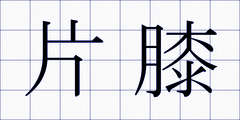 片膝