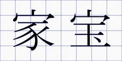 家宝