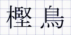 樫鳥