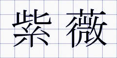 紫薇