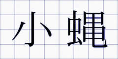 小蝿