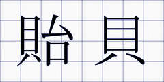 貽貝
