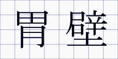 胃壁