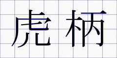 虎柄