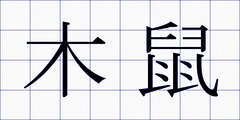 木鼠