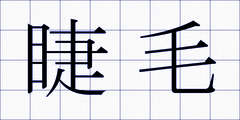 睫毛