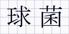 球菌