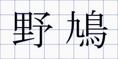 野鳩