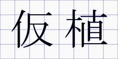 仮植