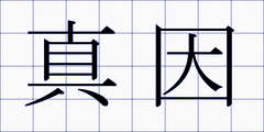 真因