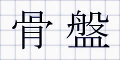 骨盤
