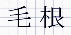 毛根