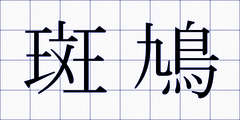 斑鳩