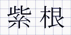 紫根
