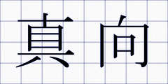 真向