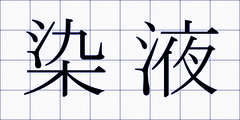 染液