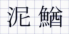 泥鰌