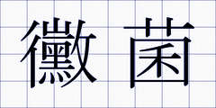 黴菌
