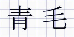 青毛