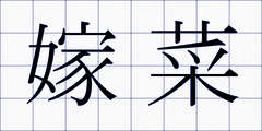 嫁菜