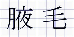 腋毛