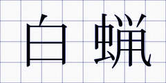 白蝋