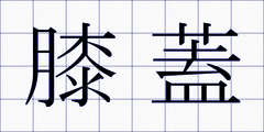 膝蓋
