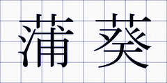 蒲葵