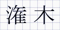潅木