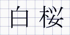 白桜