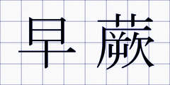 早蕨