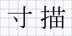 寸描