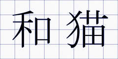 和猫