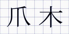 爪木