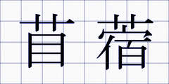 苜蓿