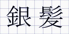 銀髪
